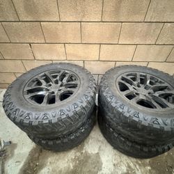 33x12.5x18