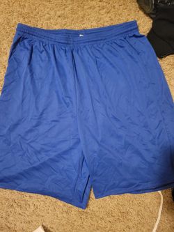 Royal Blue Adult Shorts