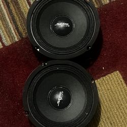 6.5 Pro Audio Loud Speaker 