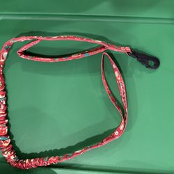 New Dog Leash 