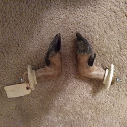 Deer Feet