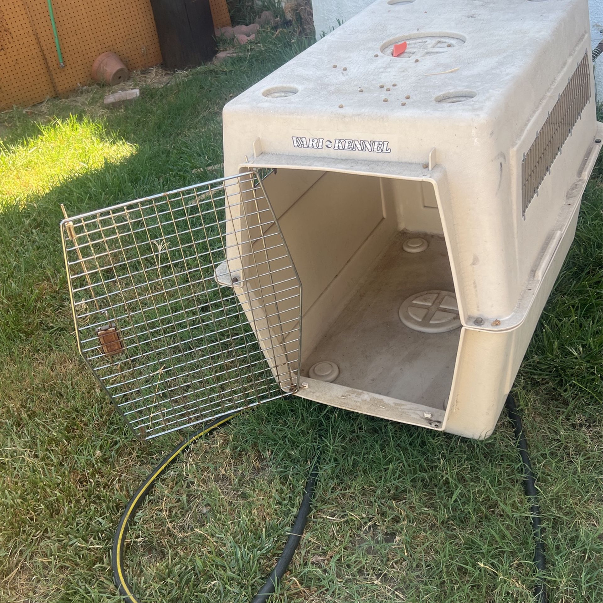 Large Dog Kennel