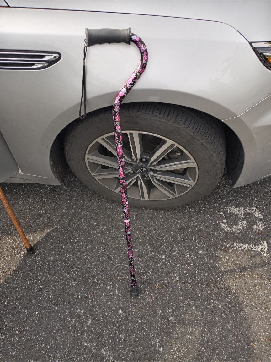 Small Adjustable Cane