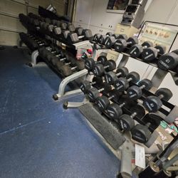 Rubber Hex Dumbbell Set 5 To 100 Lb