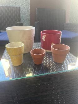 Pot Plants