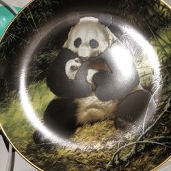 China Ware Tea Cups And The Plates That Are Collection 