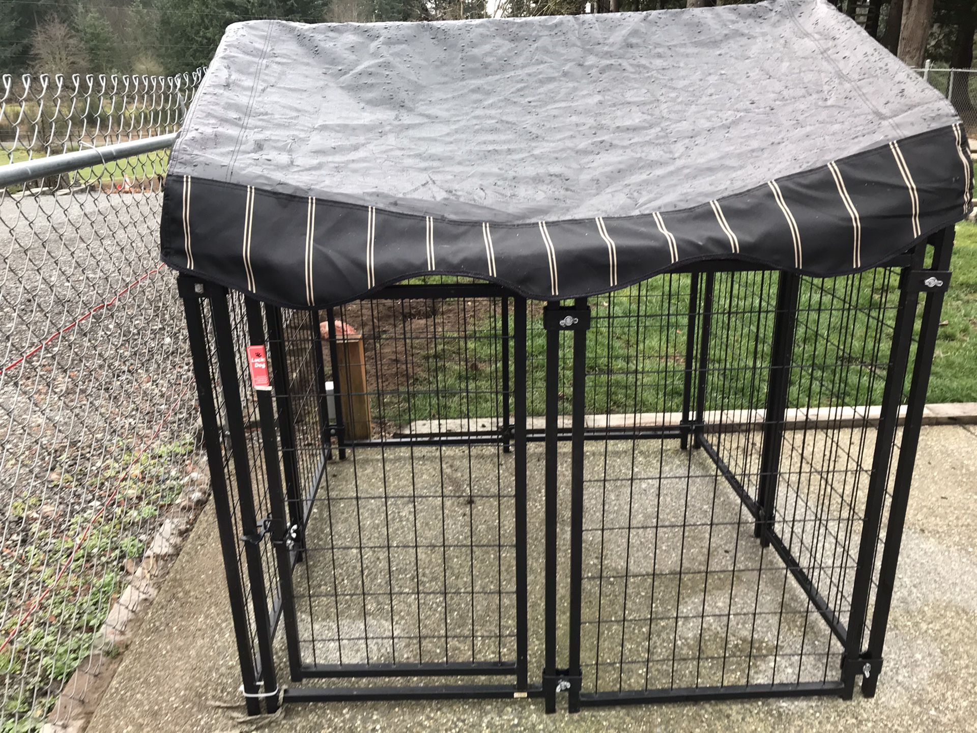 Lucky Dog Kennel