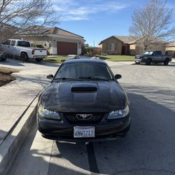 2002 Mustang Gt