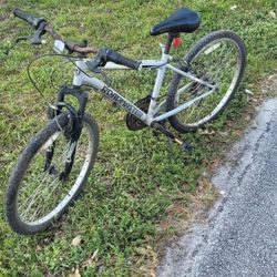 Roadmaster 24 Inch Bicycle 