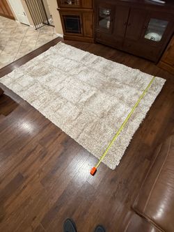 Ivory and Beige abstract shag area rug. Brand new 6ftx9ft