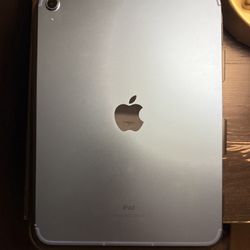 iPad 10th Generation WiFi + Cellular 