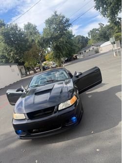 2000 Ford Mustang