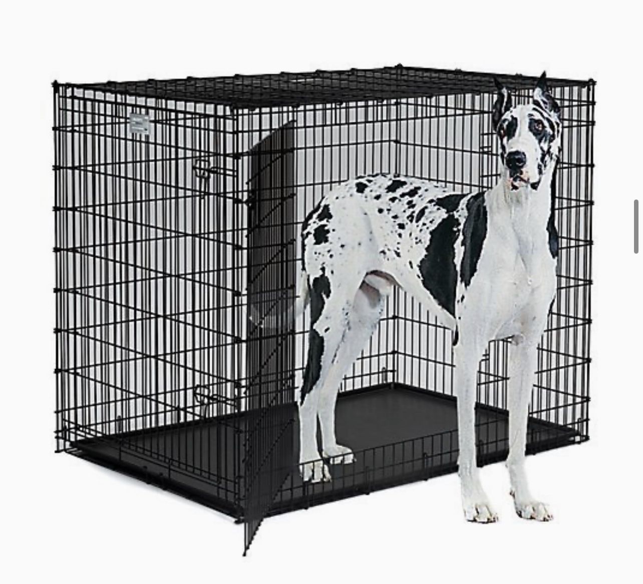 XXL Dog Crate & training divider $145