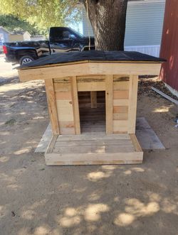 Dog House 