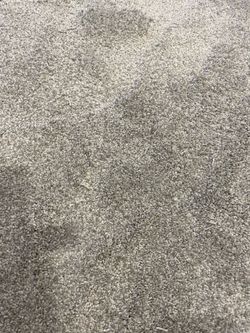 6’x6’ Light Gray Carpet Remnant