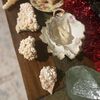 Antique Finds