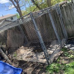 Out Side Dog Cage 