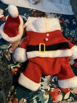 Pet Clothing