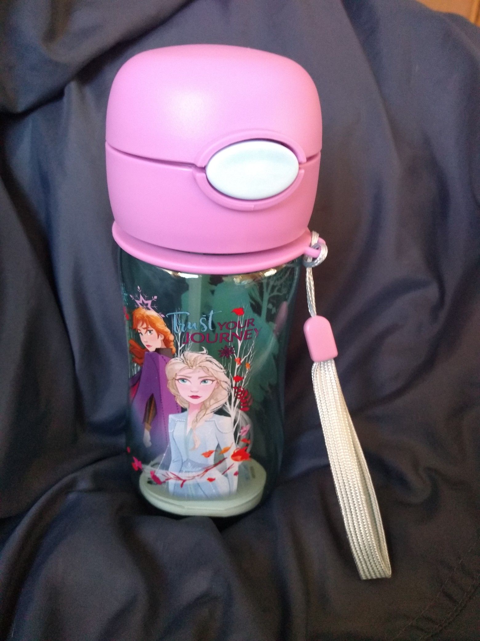 Frozen 2 Flip Top Water Bottle