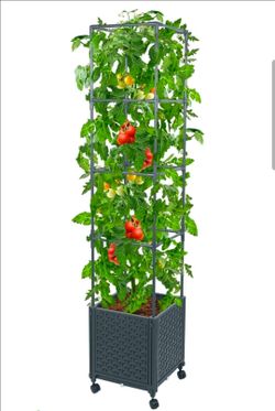 Green Mount Raised Garden Bed Planter Boxes with Trellis for Climbing Vegetables Plants, 56.7" Tomatoes Planters Outdoor Tomato Cage w/Wheels