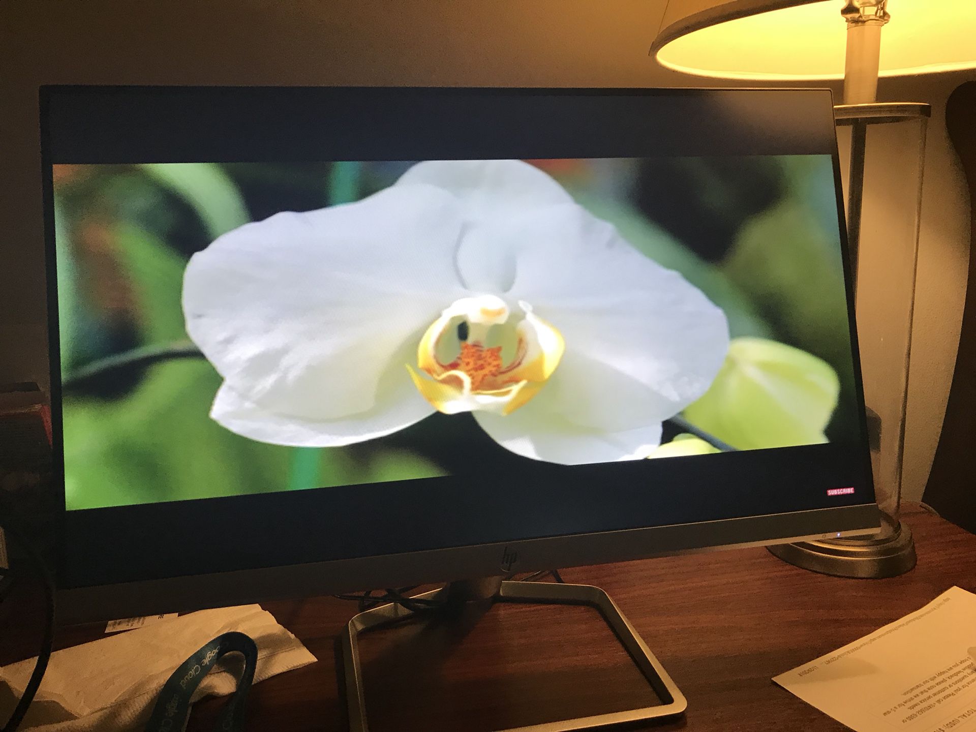Brand New HP 23f display monitor 23”