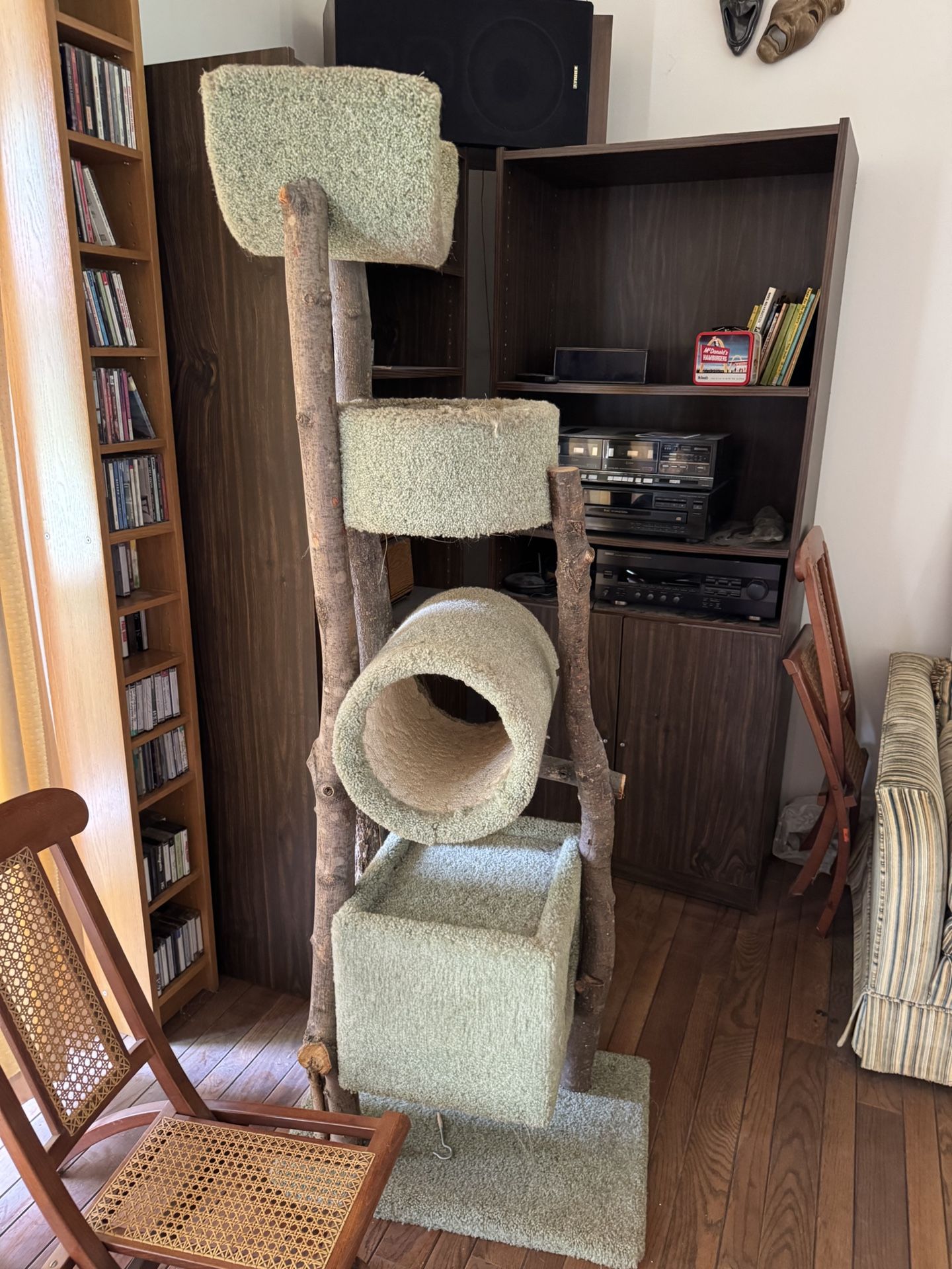 Cat Playground FREE