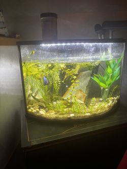 6gallon Corner Tank,