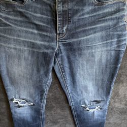 Size 10 Petite Skimmer Jeans
