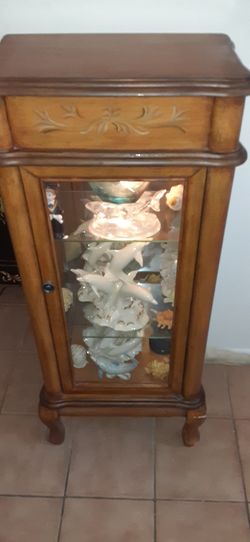 Glass With Light Cabinet
