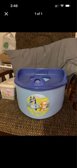 Potty chair