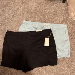 Size 16 Women’s Shorts