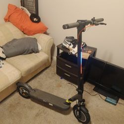 5th Wheel 800w Brushless E-Scooter