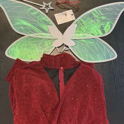 Fairy Godmother From Shrek Costume 