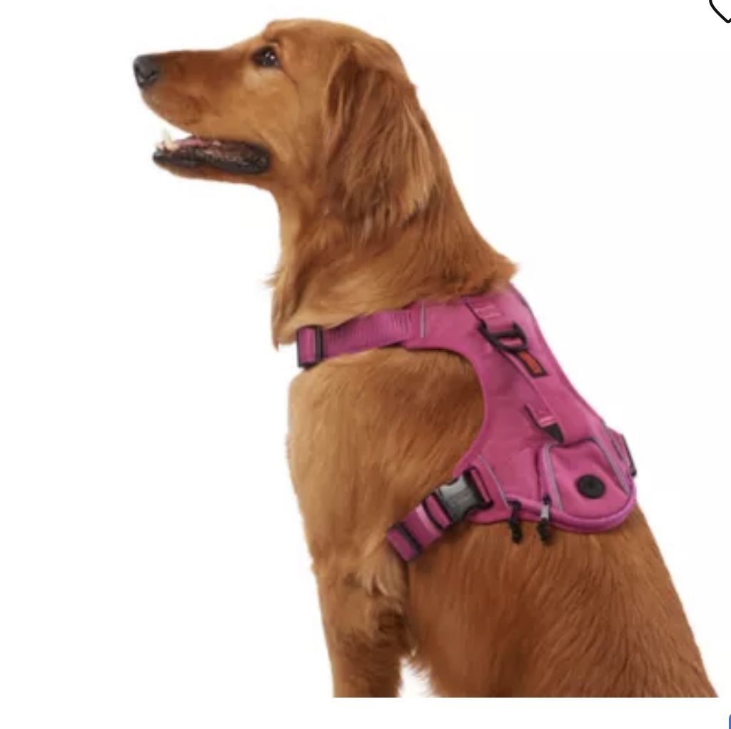 Kong dog Harness -1 M and 1 L