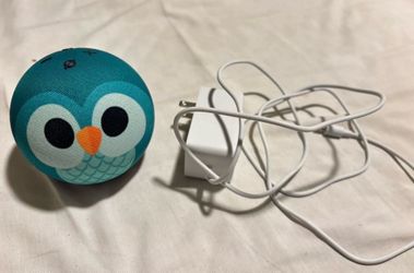 Echo Owl