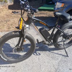 Radrunner Fat Tire Ebike 