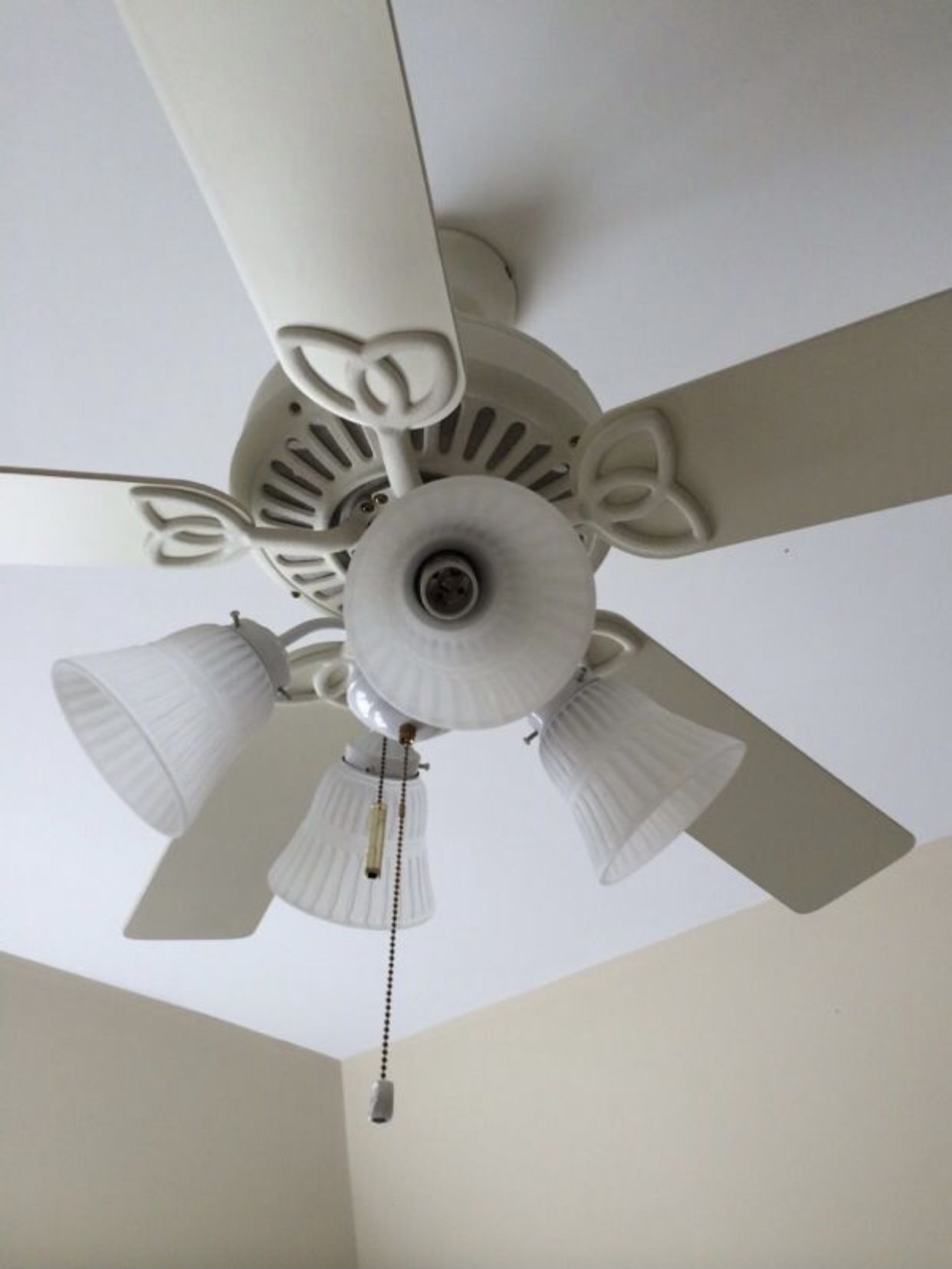 Ceiling Fan With Lights