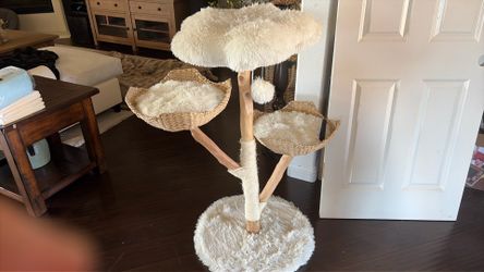 Cat stand