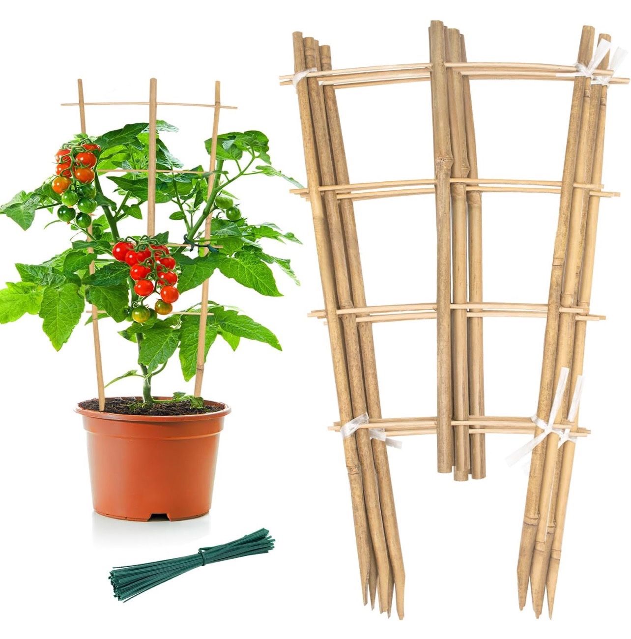 Garden Bamboo Trellis 16 Inch Fan Shaped Small Plant Trellis,Natural Wood Trellis for Climbing Plants Orchid Monstera Indoor Potted Plants-3 Pack 200+