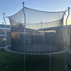 Trampoline 