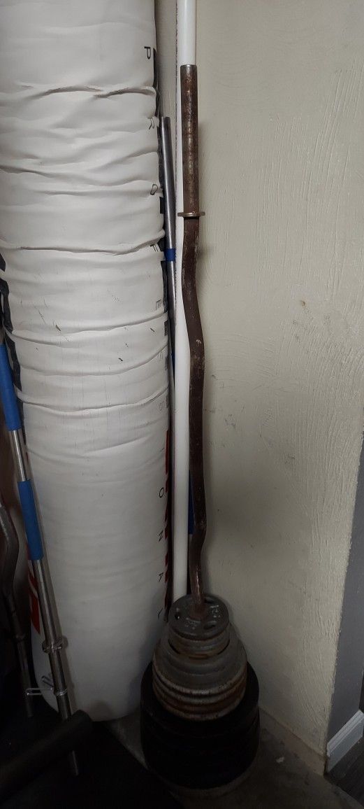 Standard Weights And Curl Bar