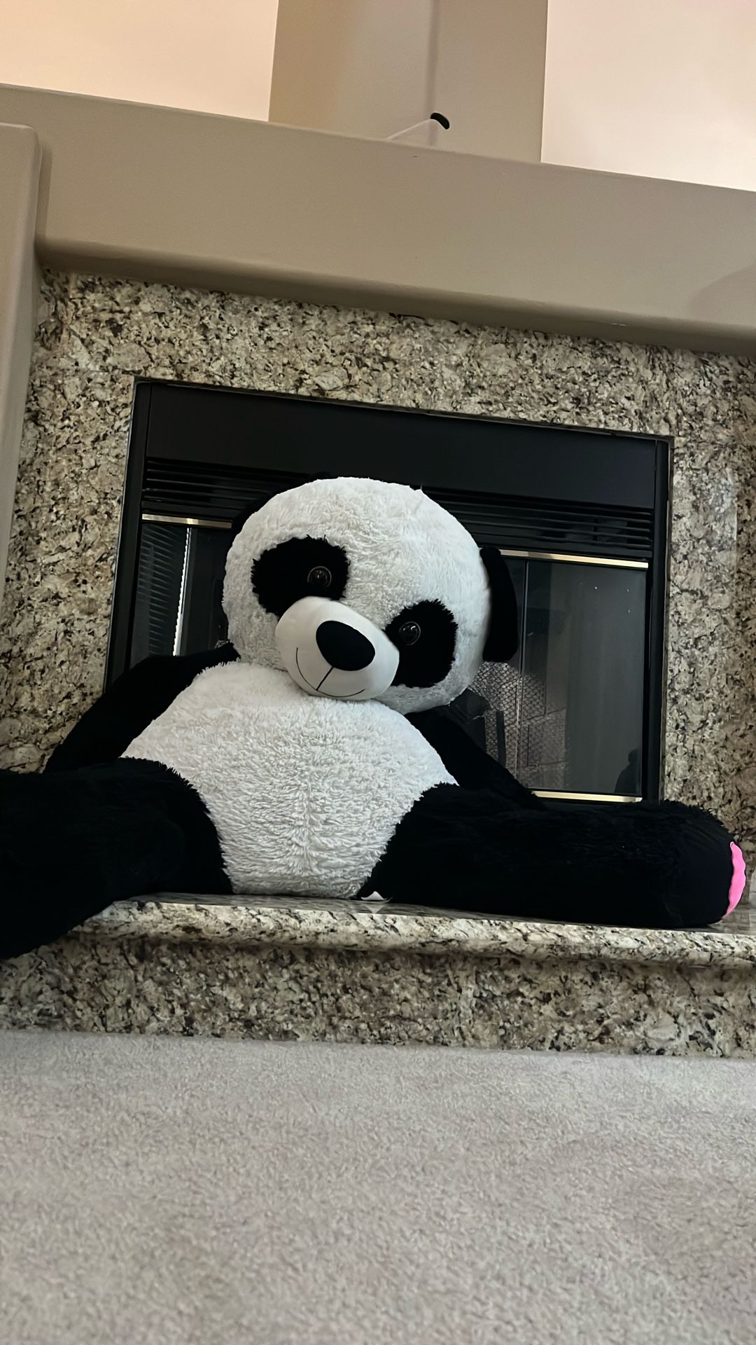 A Giant Panda