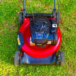 Murray Push Lawn Mower with Briggs and Stratton Engine, Side Discharge, Mulching, 21" Gas 