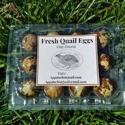 Quail Eggs