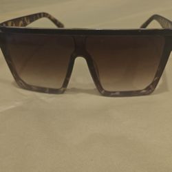 Sunglasses 