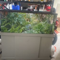 Fish tank 