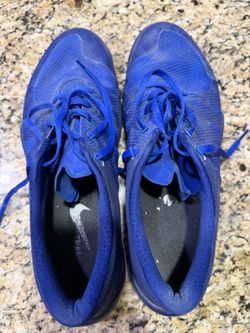 Blue Nike Free 5.0 Tr 