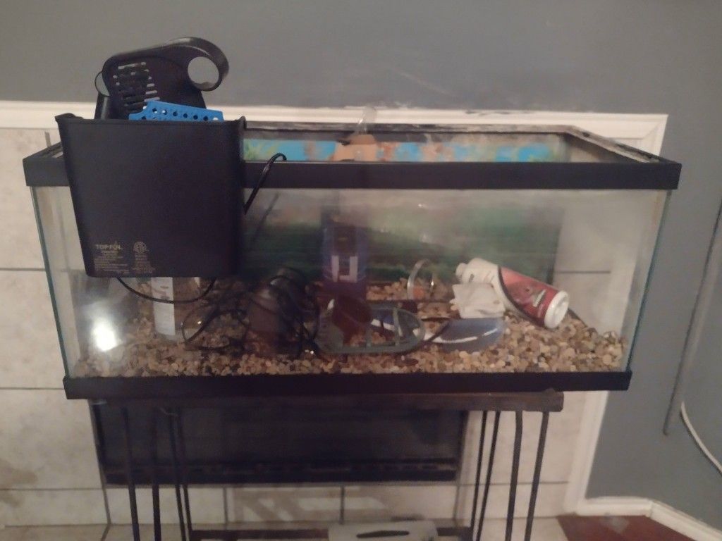 20 Gallon Aquarium