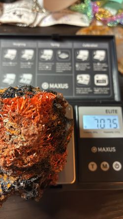 True Australian Crocoite from Tasmania. Australia
