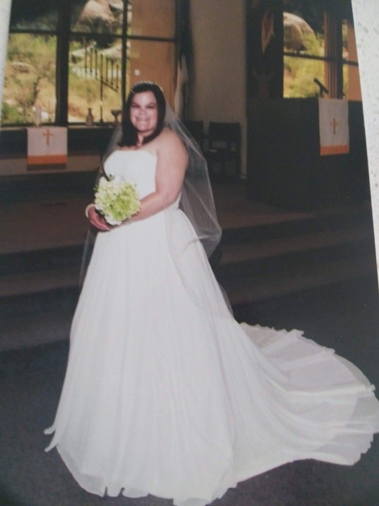 2010 David Bridal Wedding Dress size 18